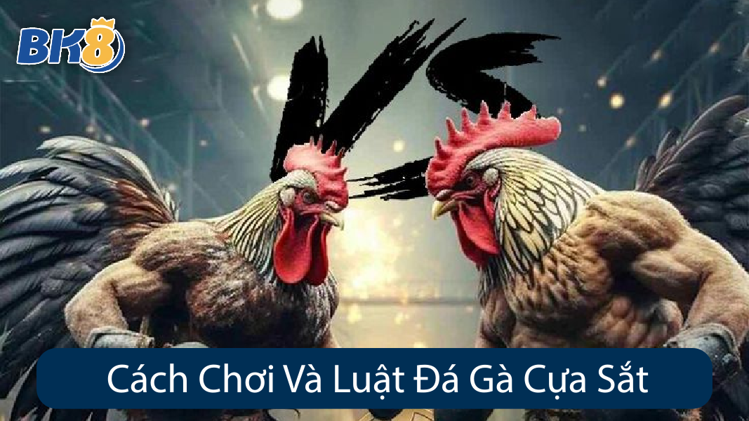 Cách Chơi Và Luật Đá Gà Cựa Sắt
