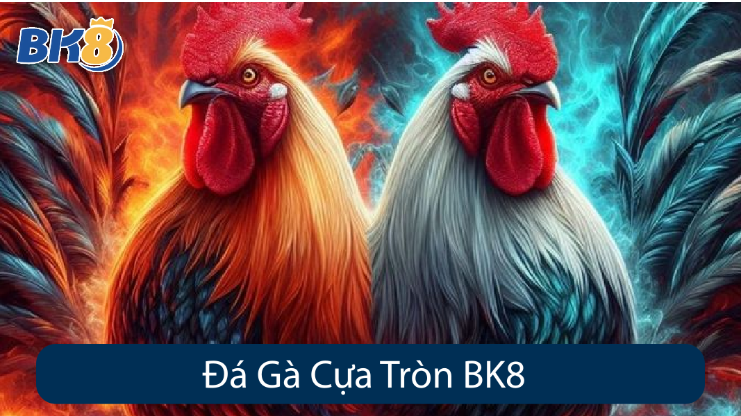 Đá Gà Cựa Tròn BK8