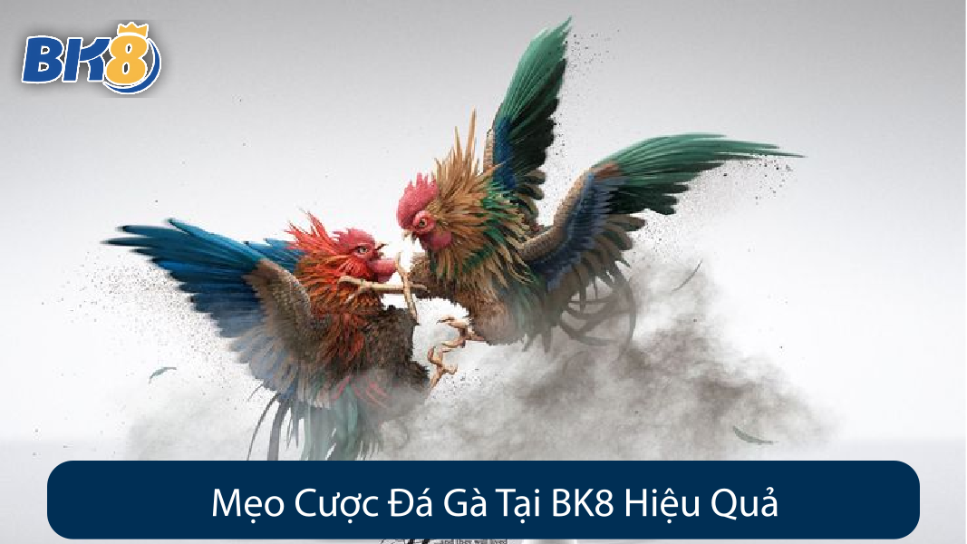Mẹo Cược Đá Gà Tại BK8 Hiệu Quả