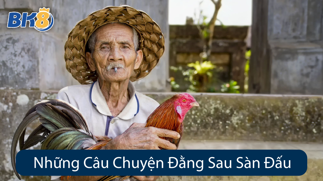 Những Câu Chuyện Đằng Sau Sàn Đấu