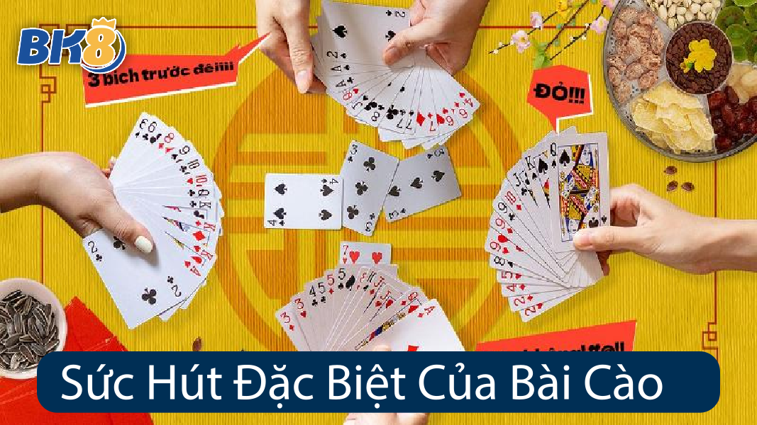 Sức Hút Đặc Biệt Của Bài Cào